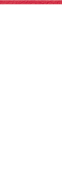 【メディア紹介】数多くのテレビや新聞に取り上げていただいております